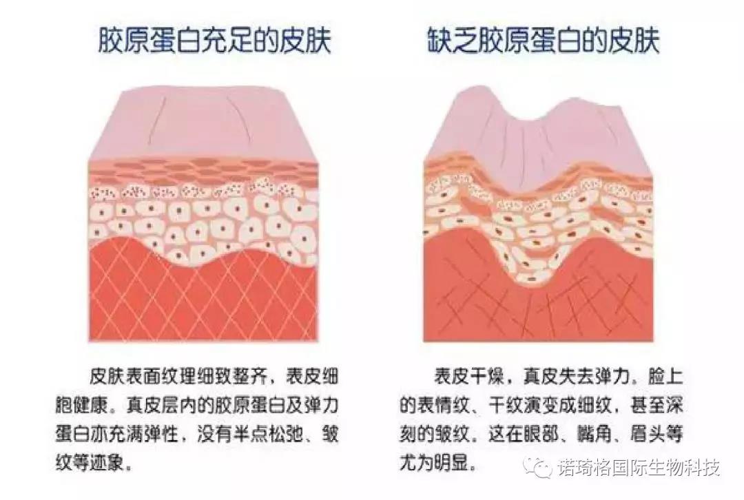 微信图片_20191009091624.jpg